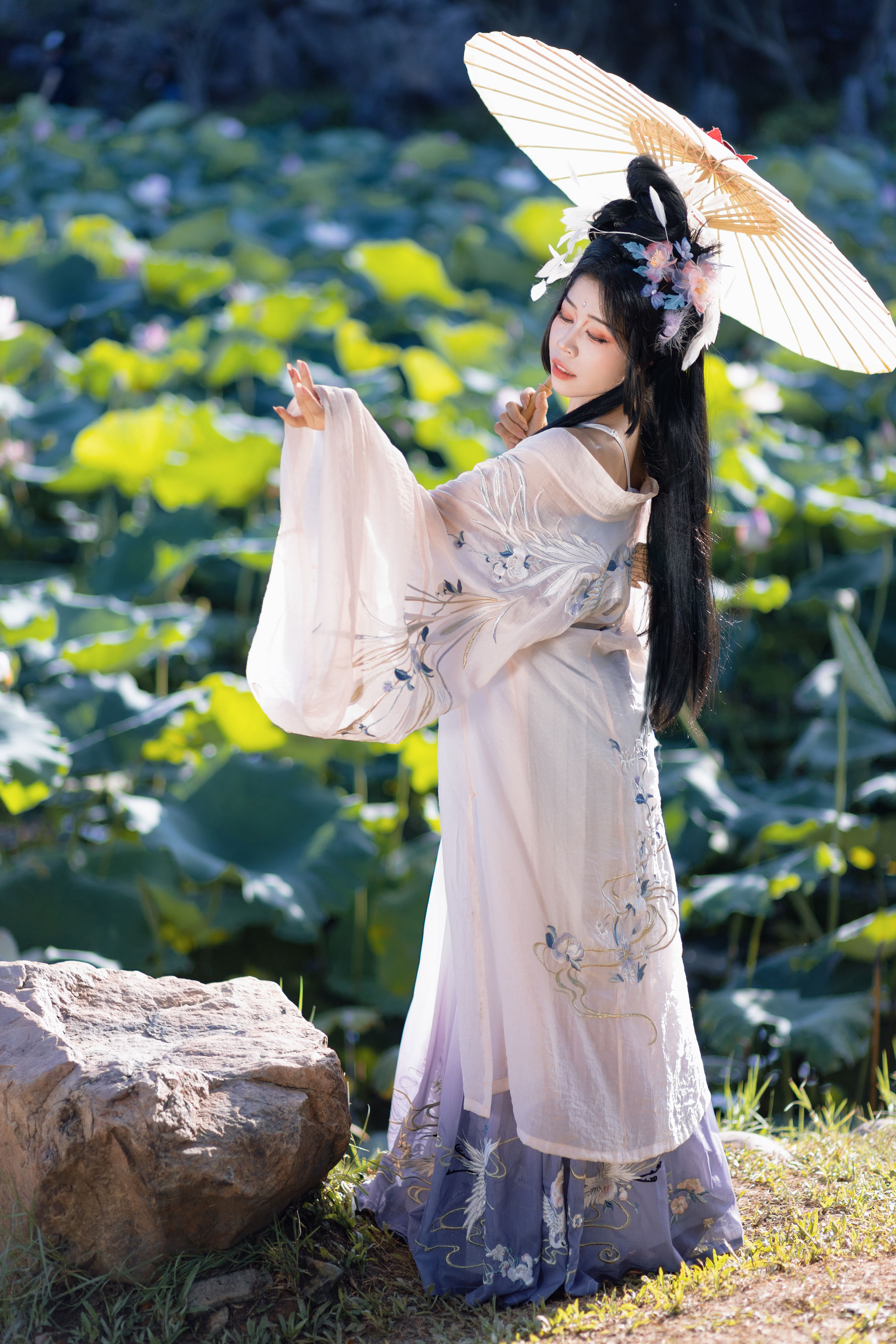 好运莲莲1