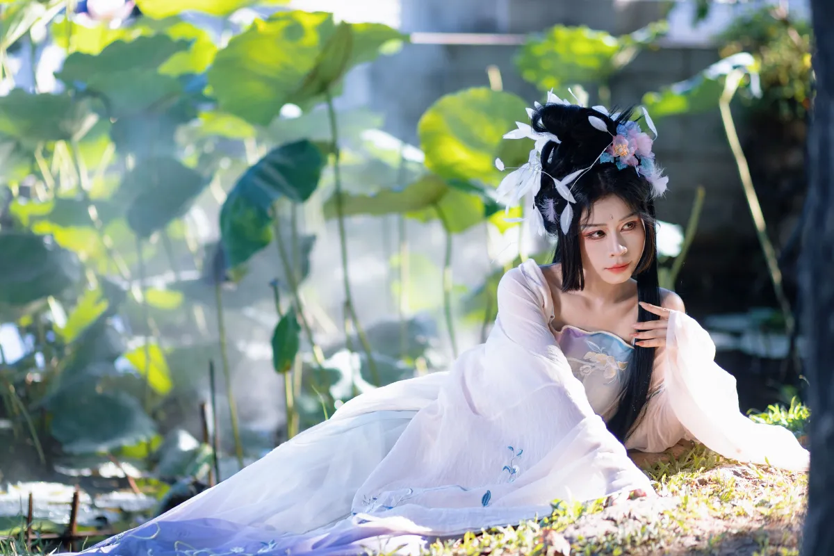 好运莲莲3