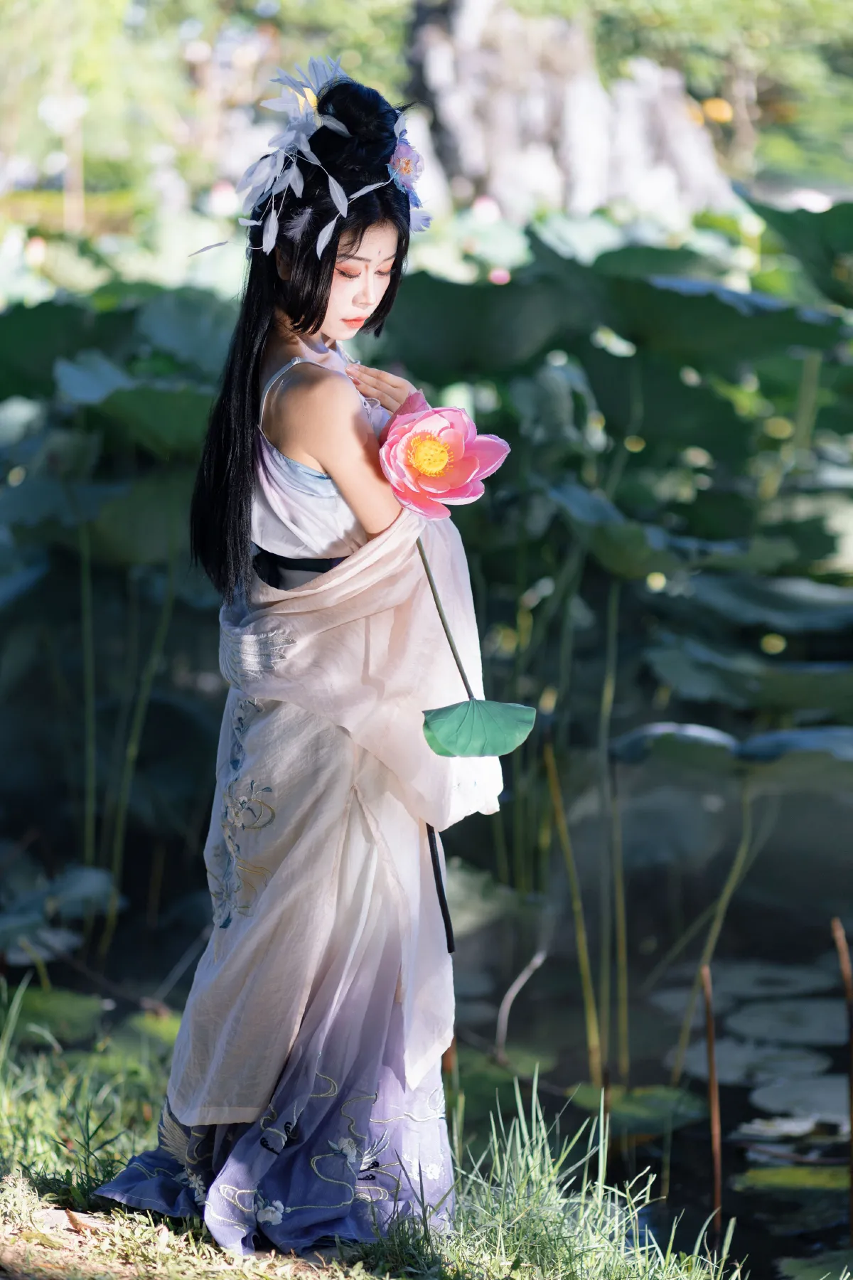 好运莲莲4