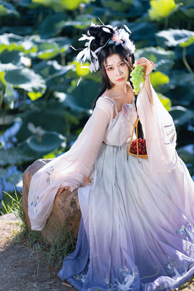 好运莲莲