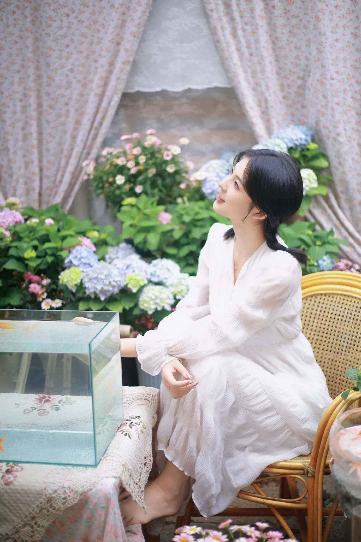 院子里的金鱼1