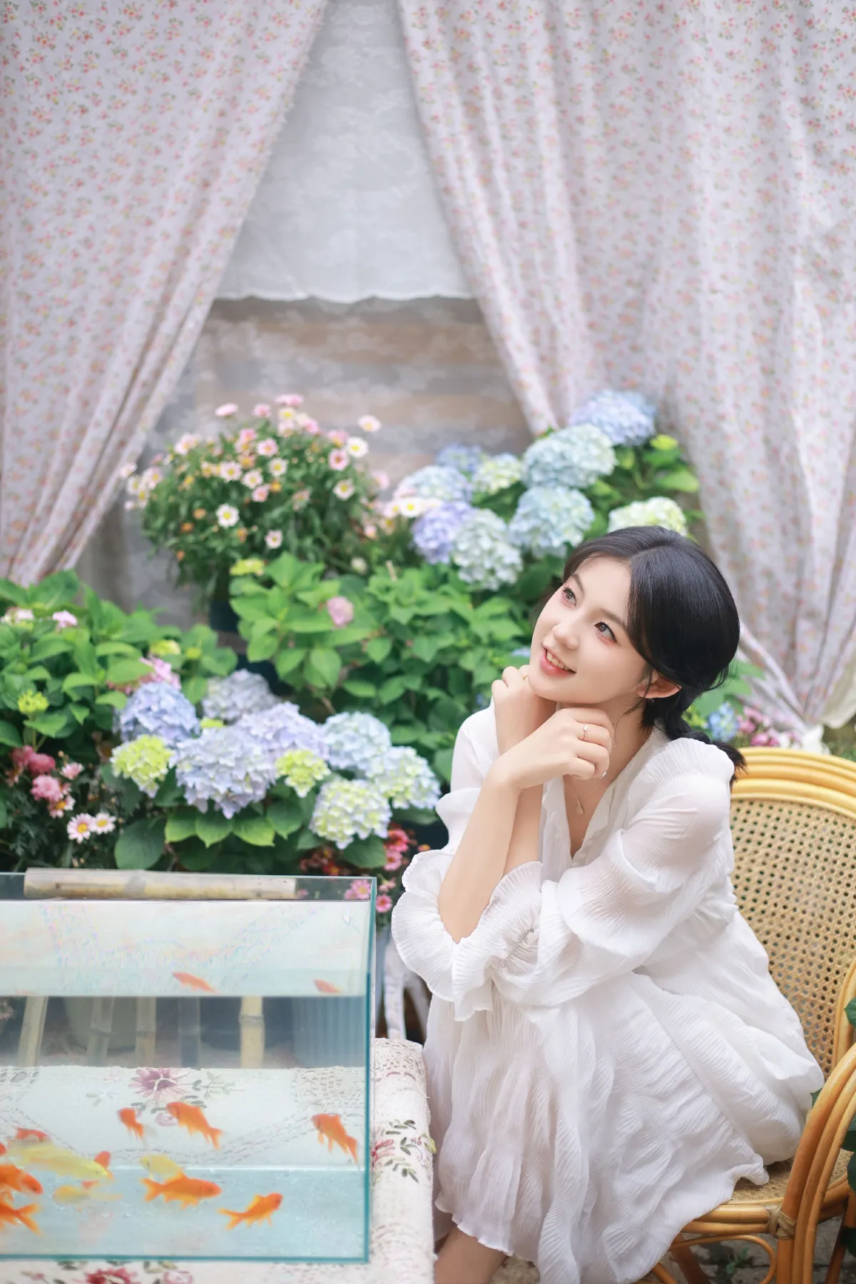 院子里的金鱼
