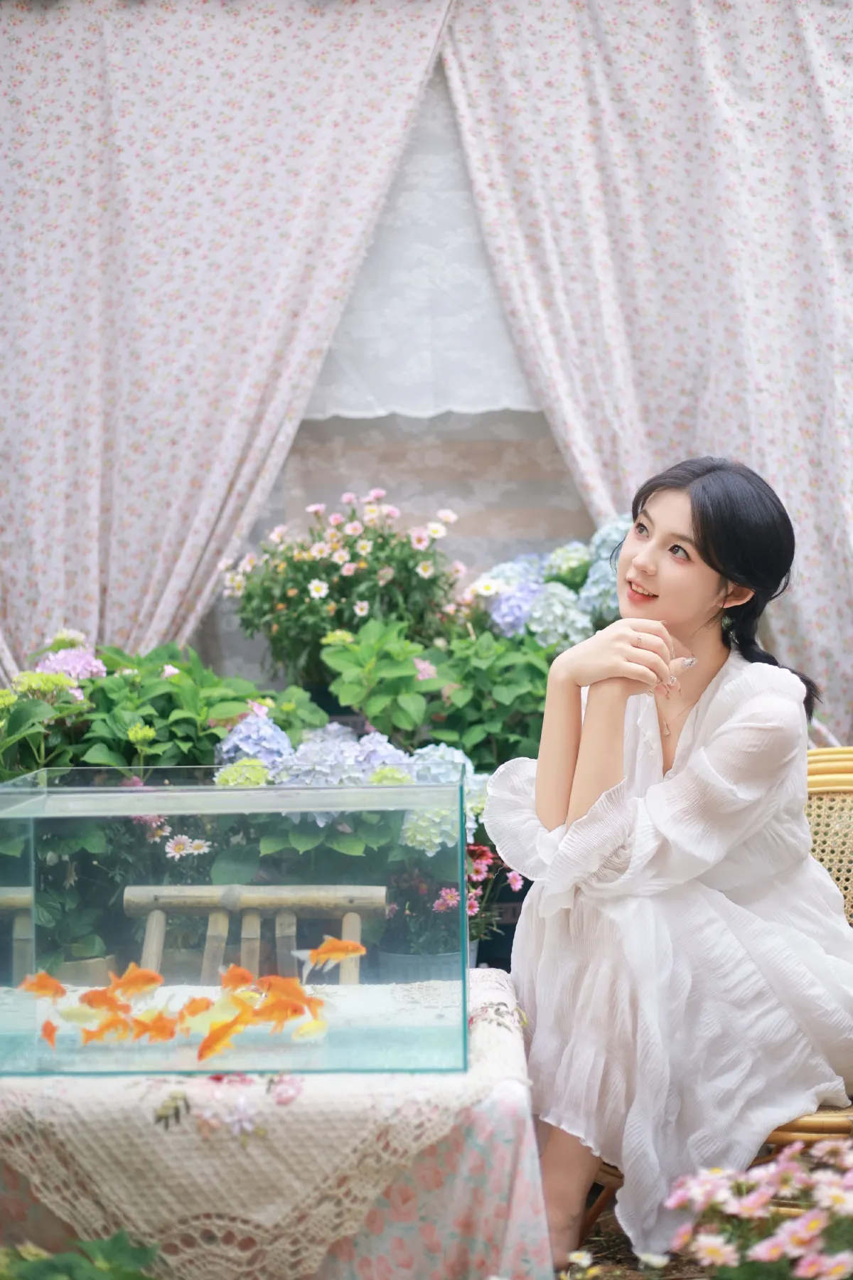 院子里的金鱼3