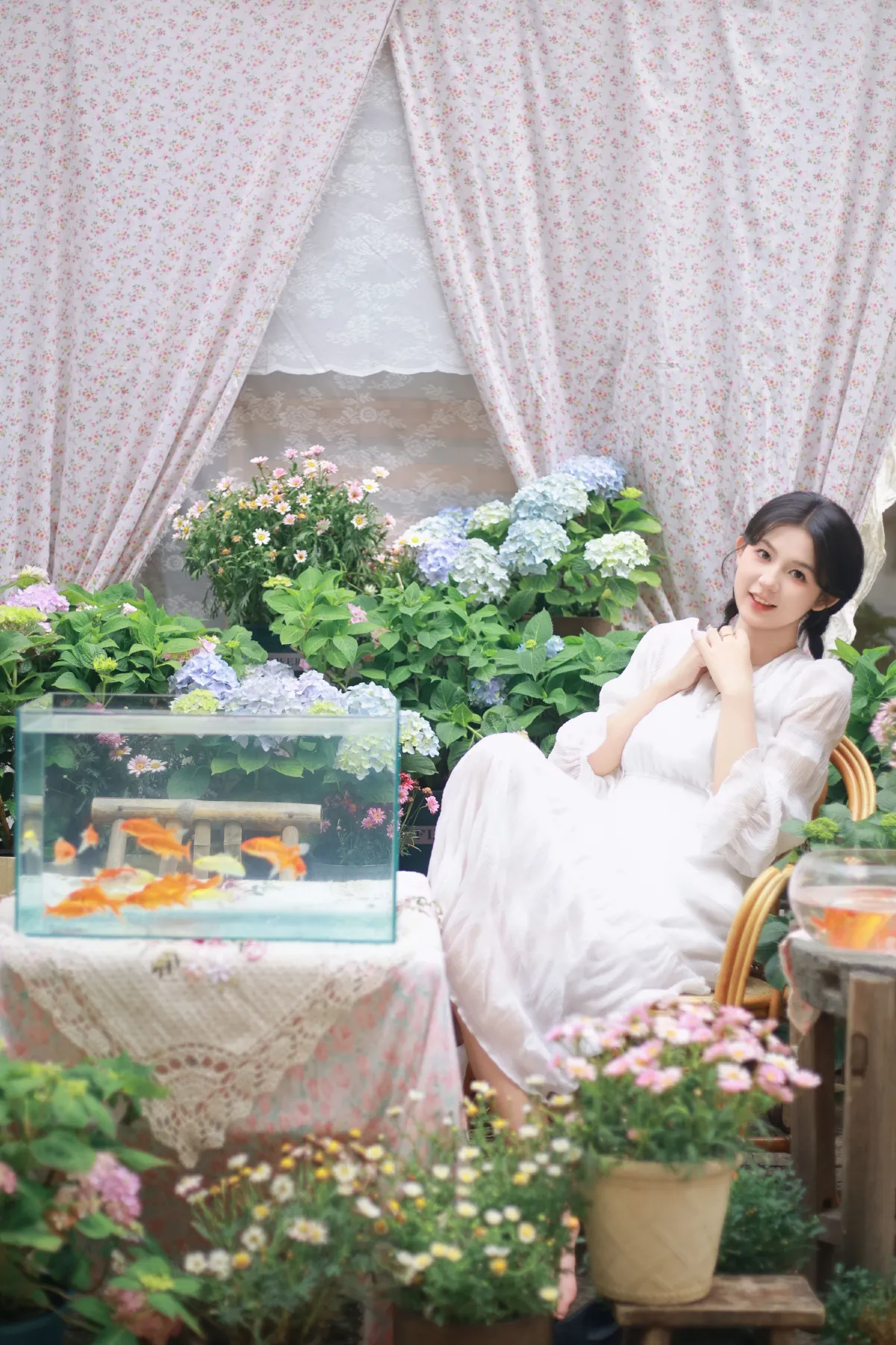 院子里的金鱼4