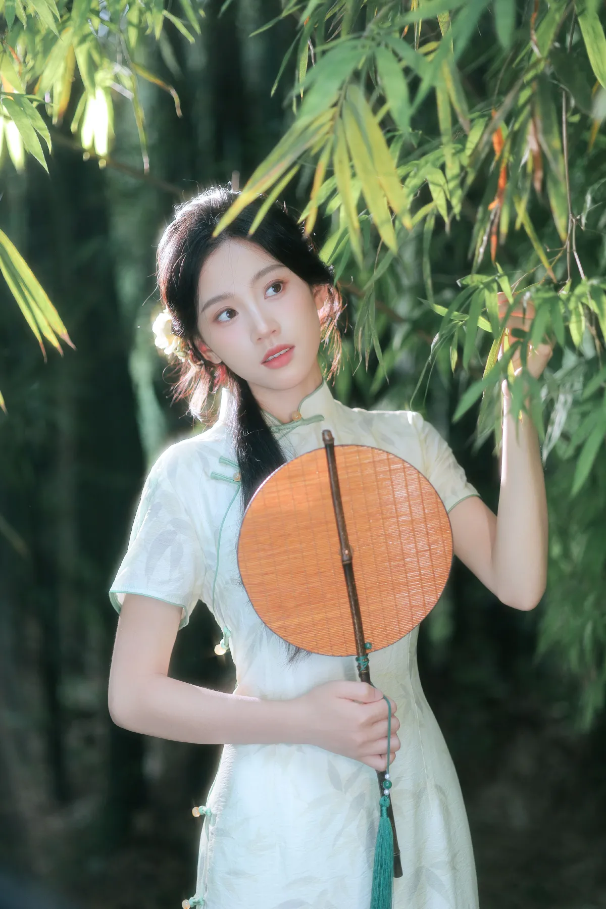 竹林3