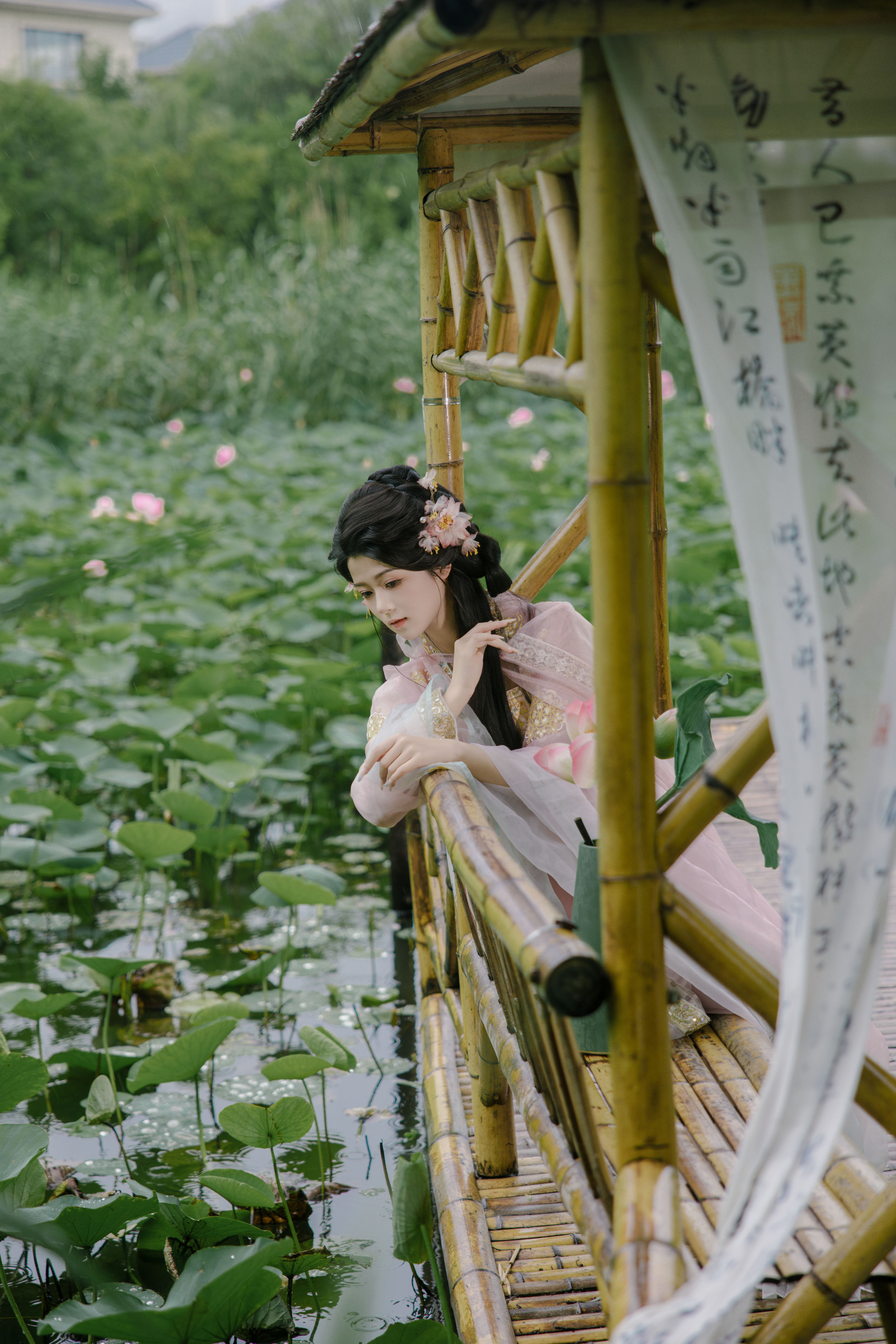 雨荷1