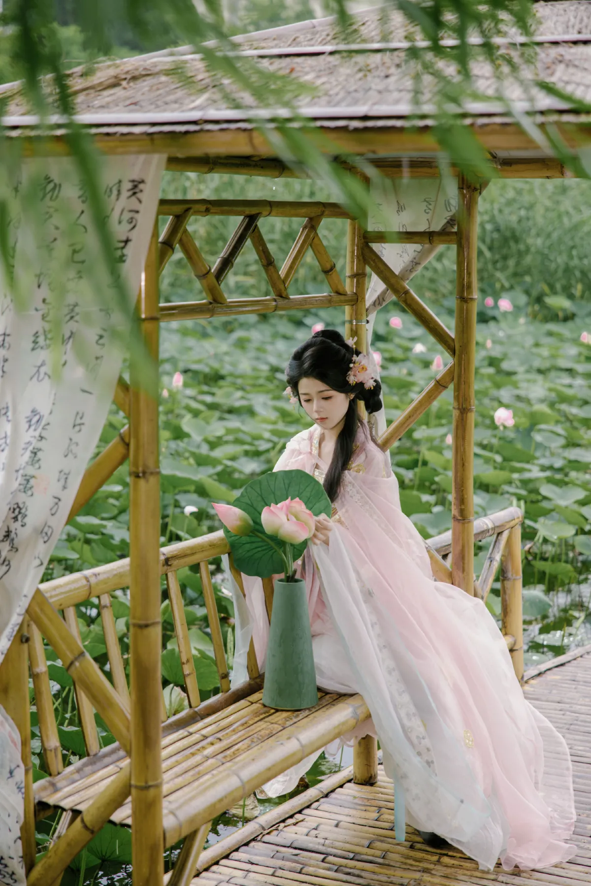 雨荷2