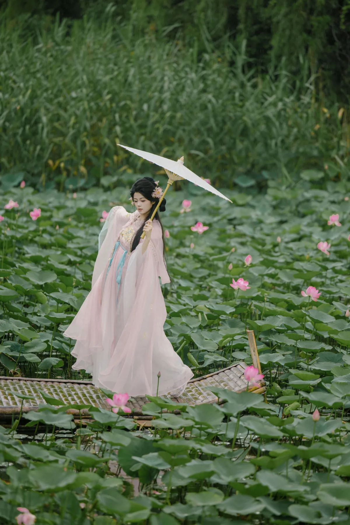 雨荷5