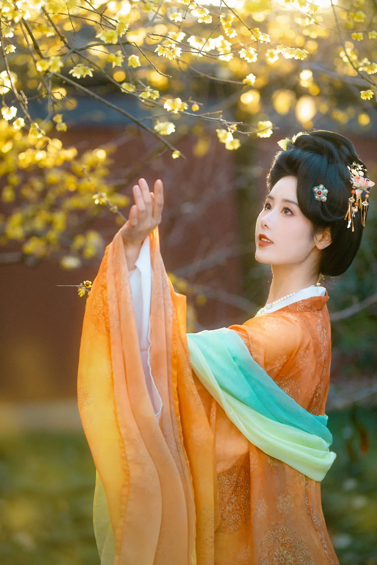 钱王祠腊梅