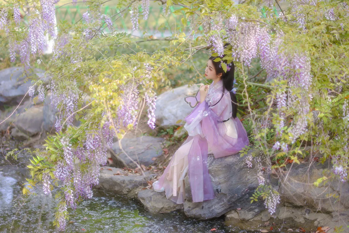 紫藤1