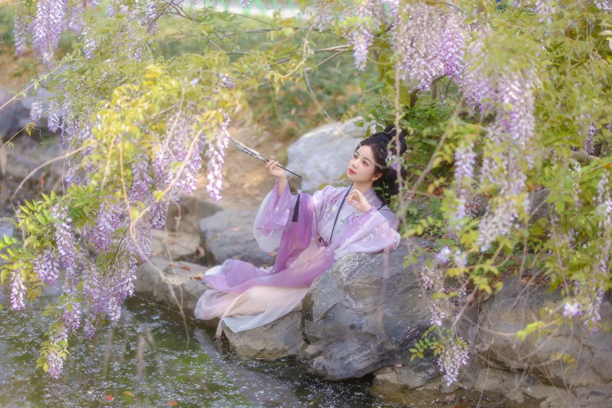 紫藤2