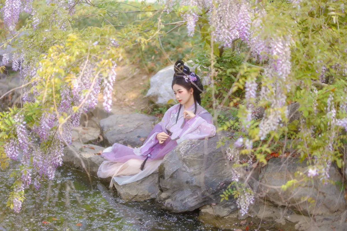 紫藤