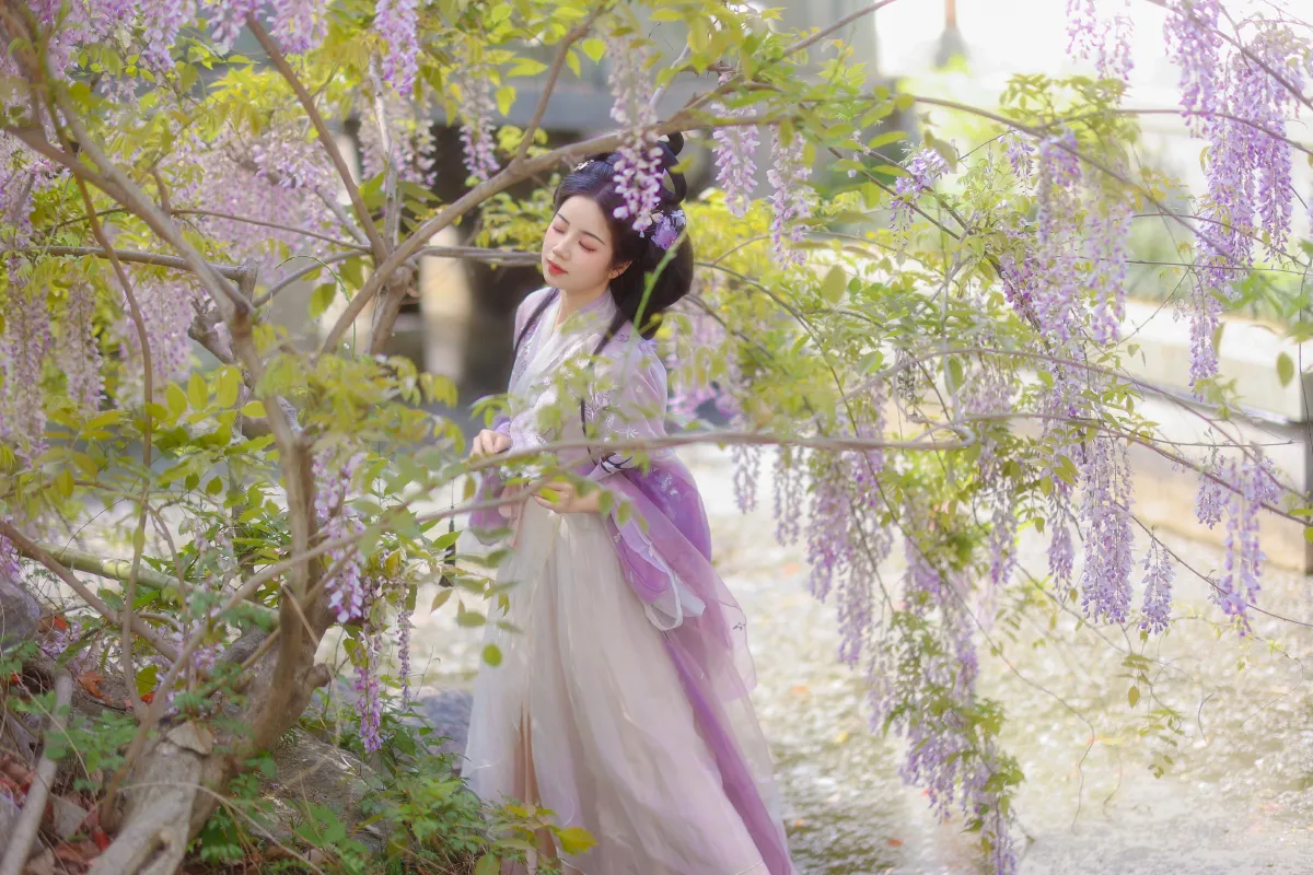 紫藤4
