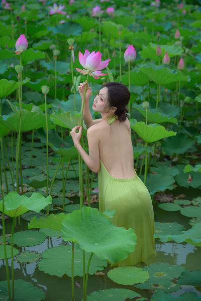 荷塘