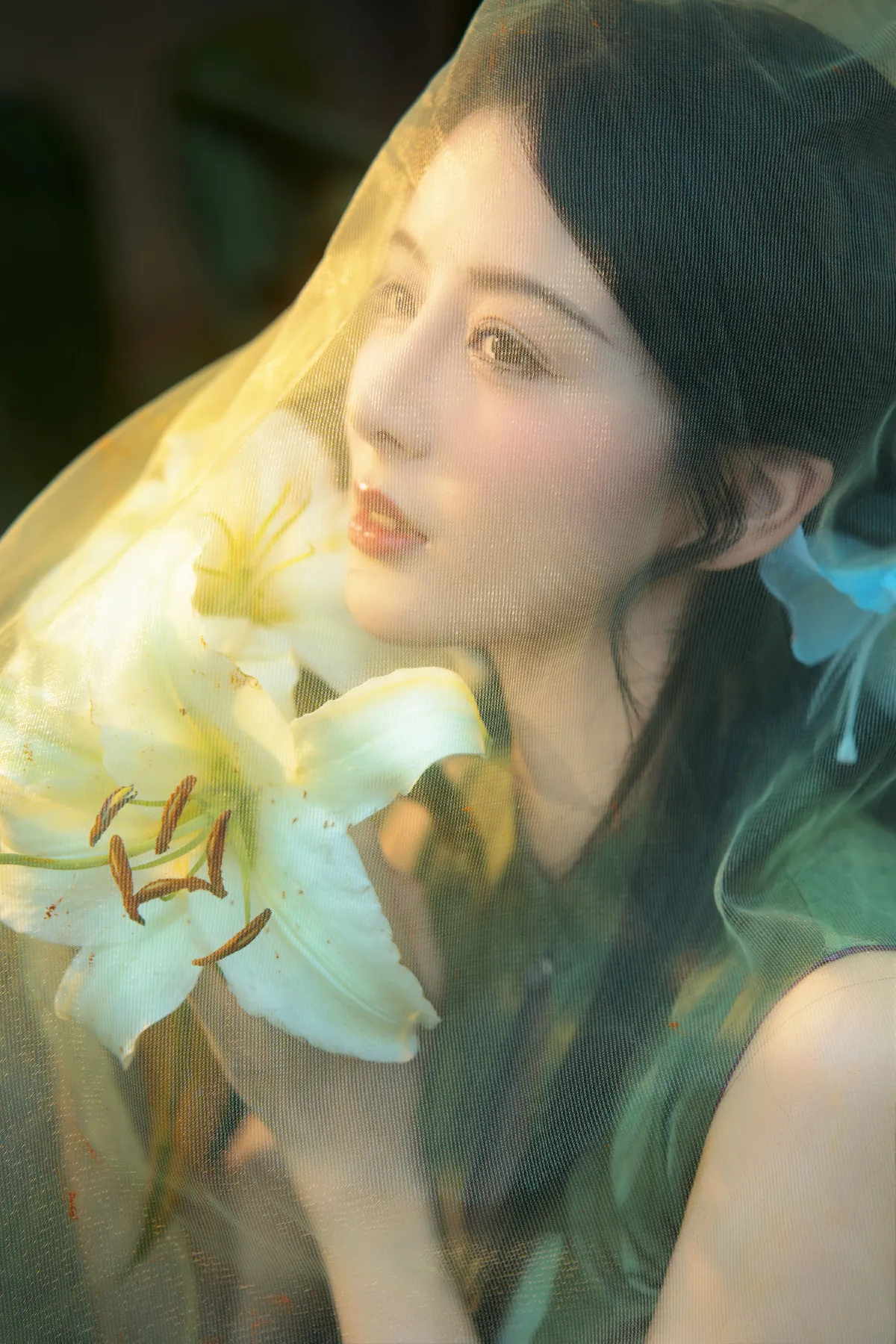 不与花同梦2