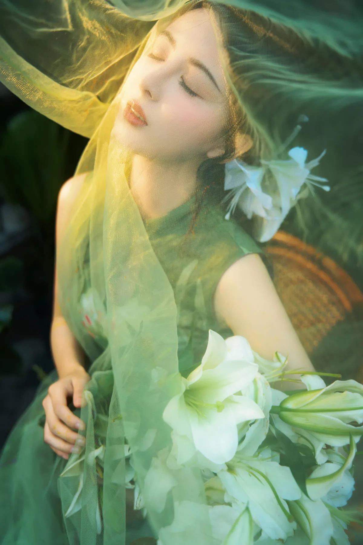 不与花同梦4