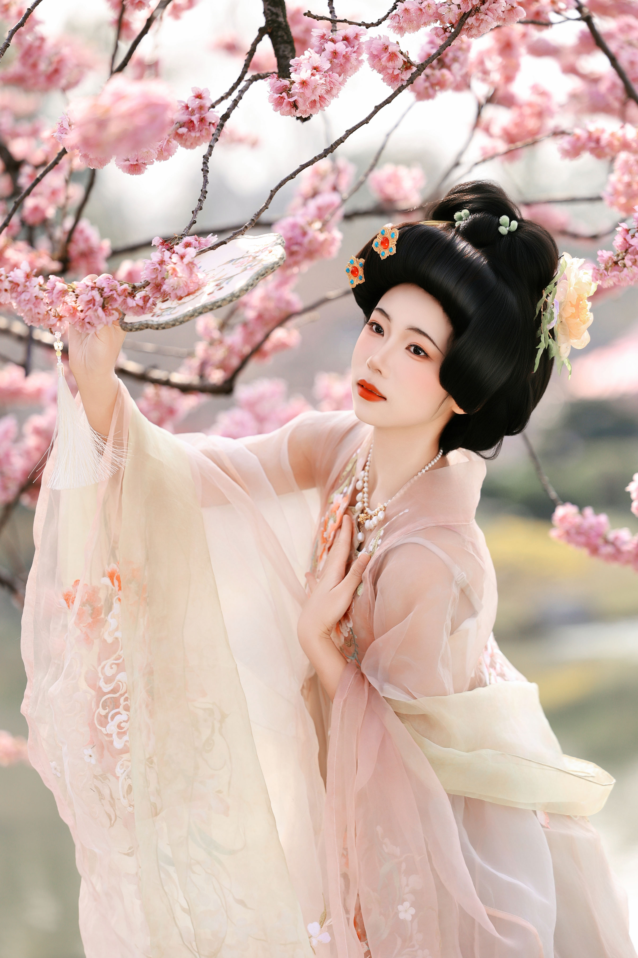 樱花梦1
