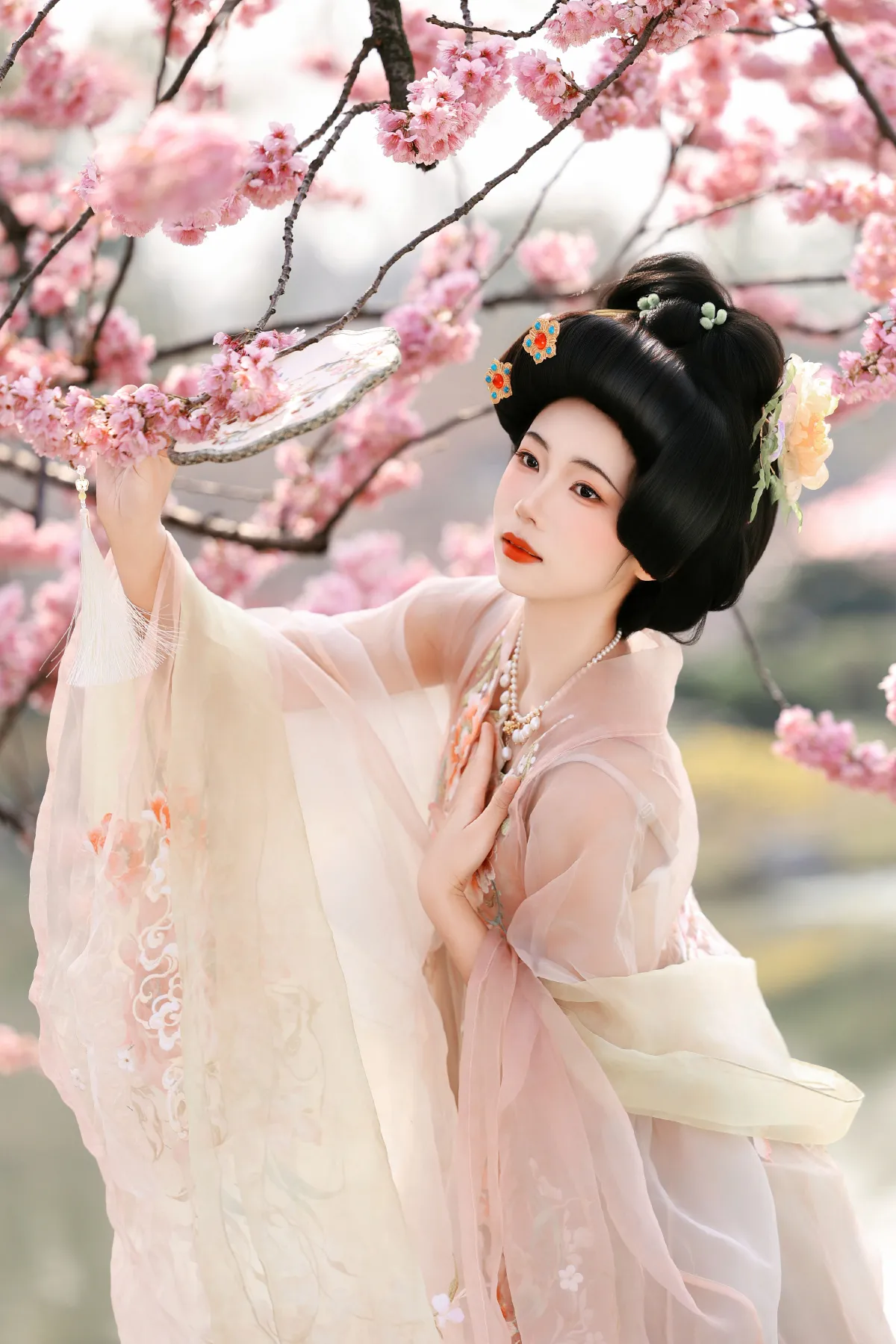 樱花梦1