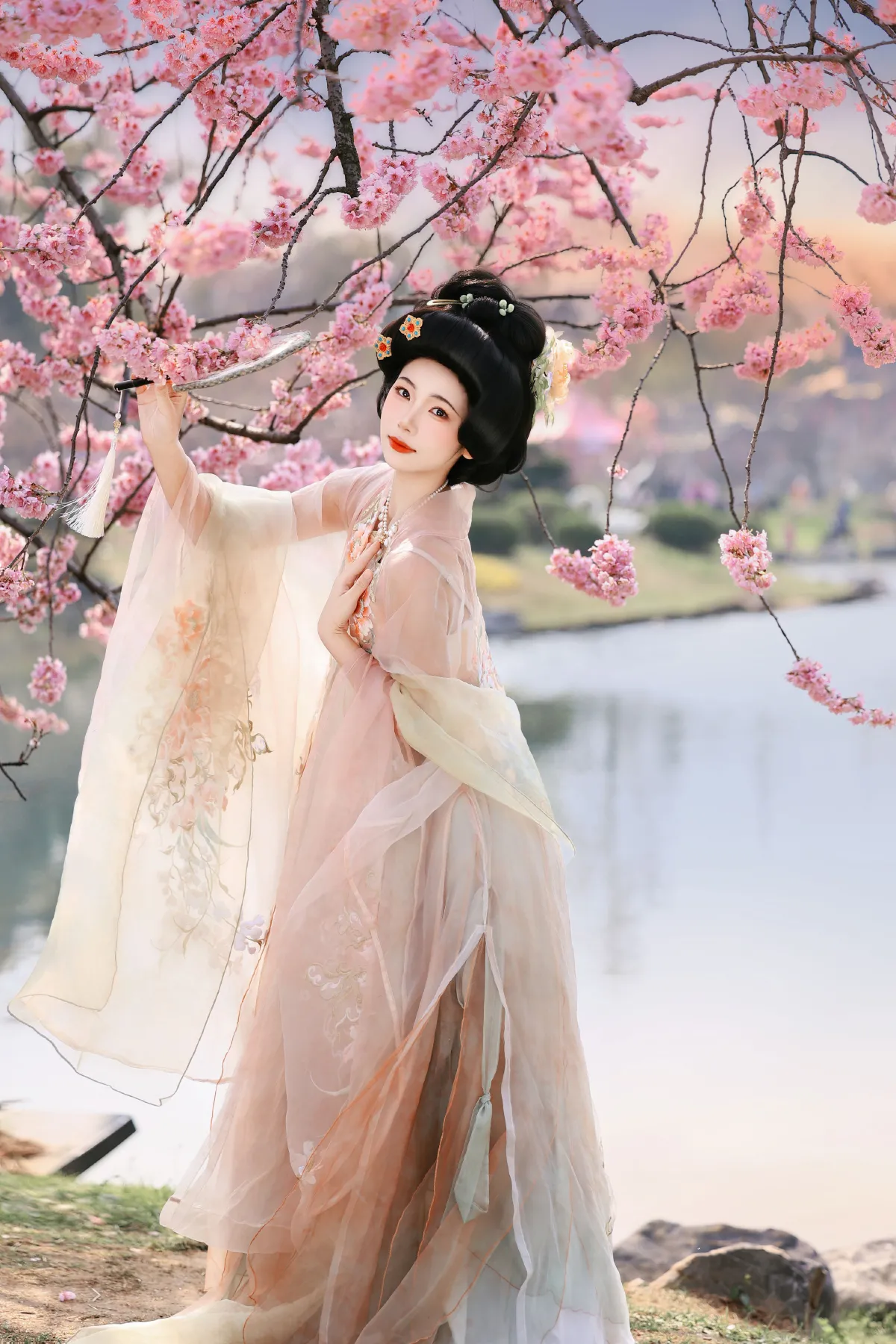 樱花梦