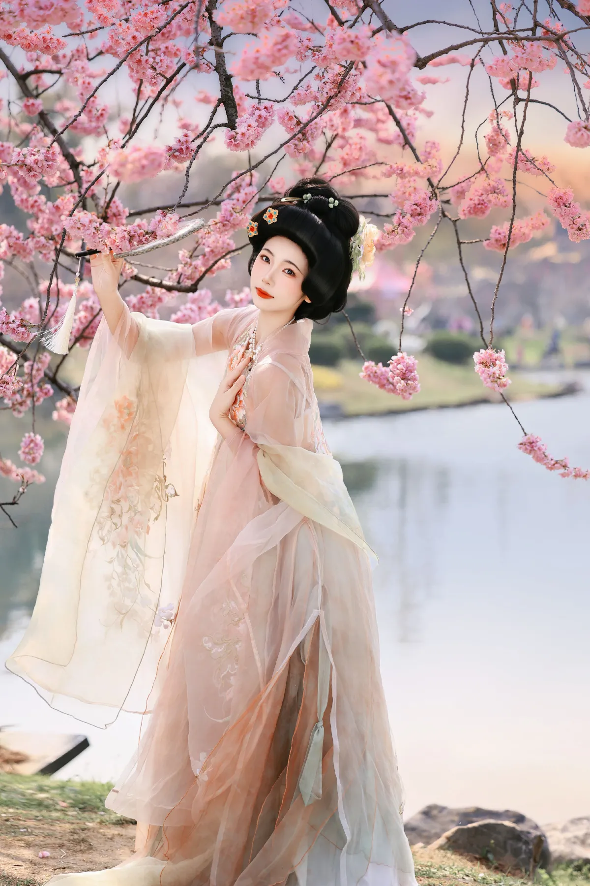樱花梦2