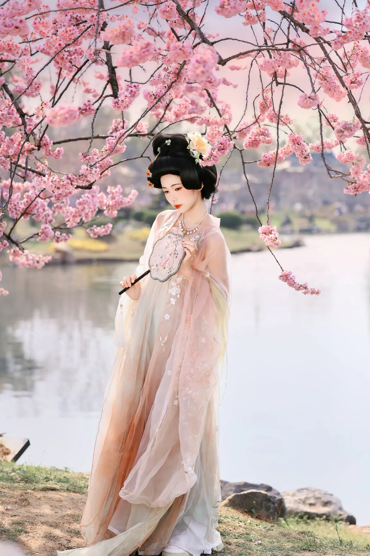 樱花梦3
