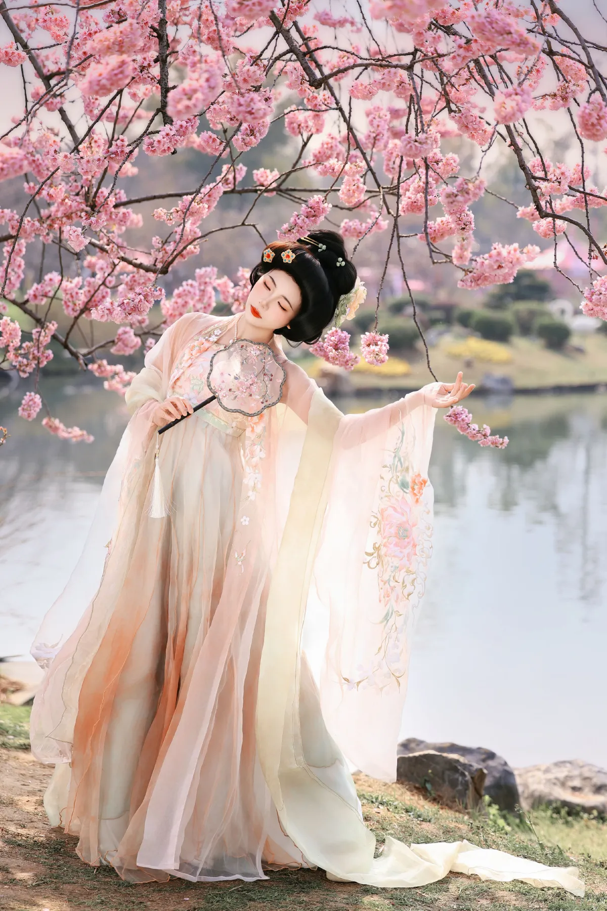 樱花梦4