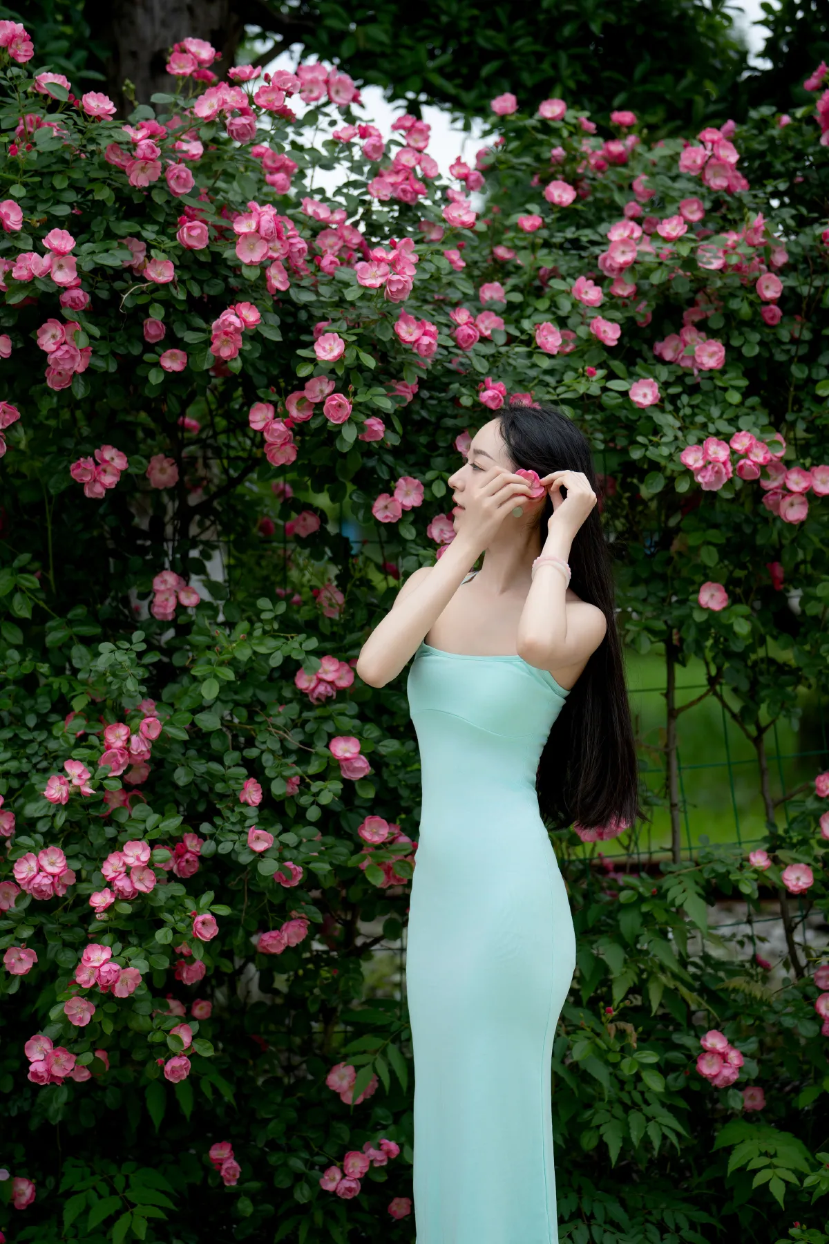 蔷薇花女神2