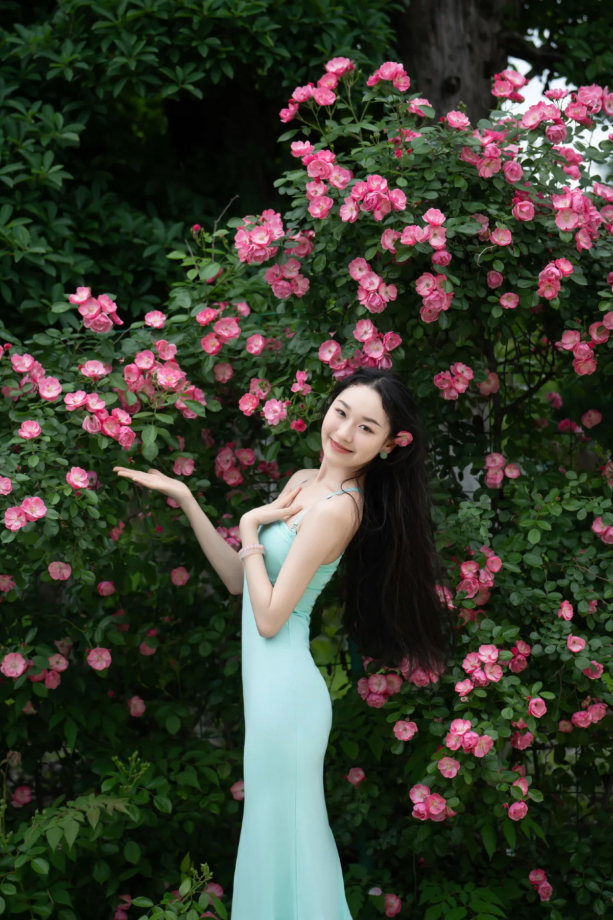 蔷薇花女神5