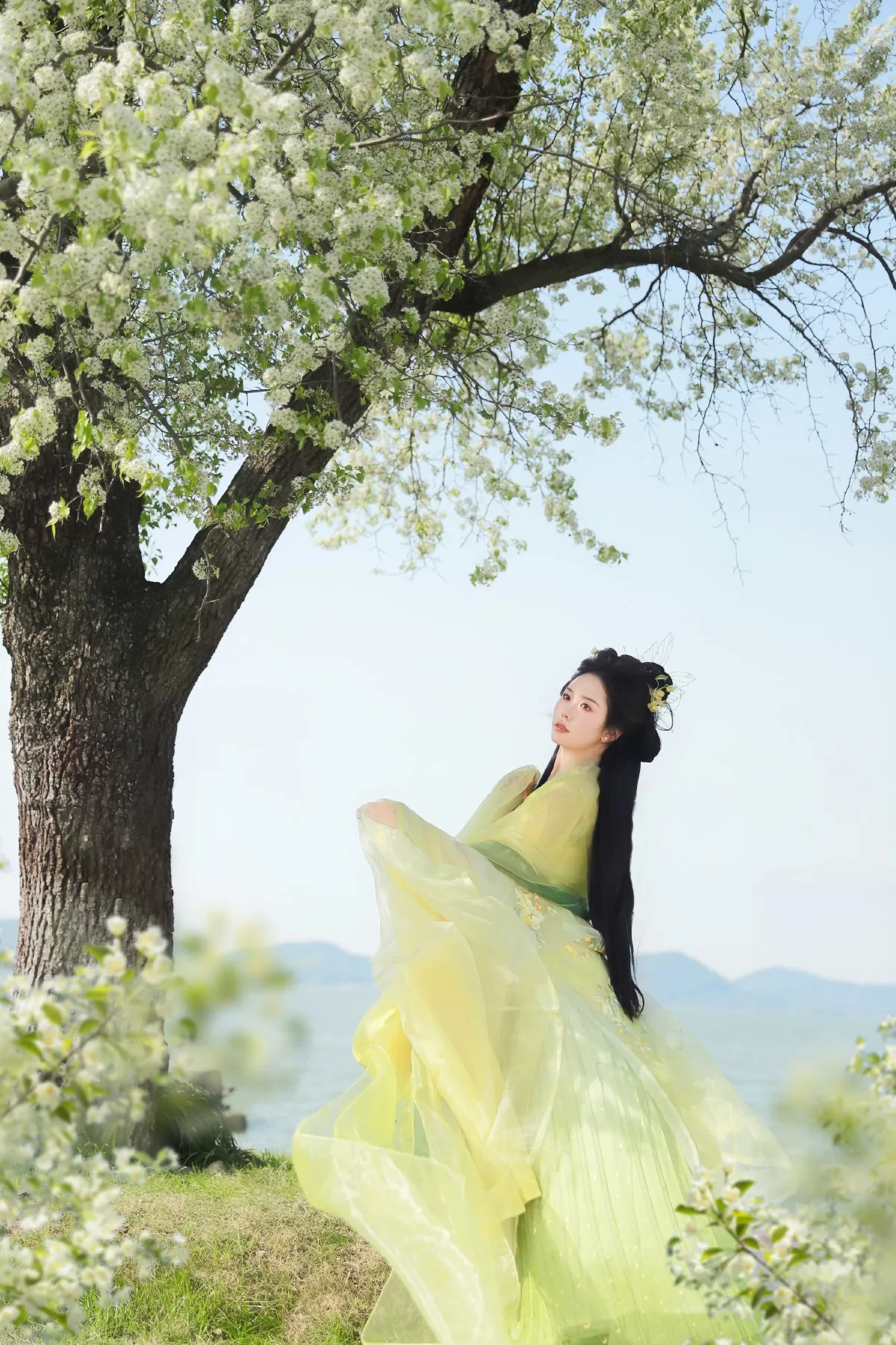 梨花开4