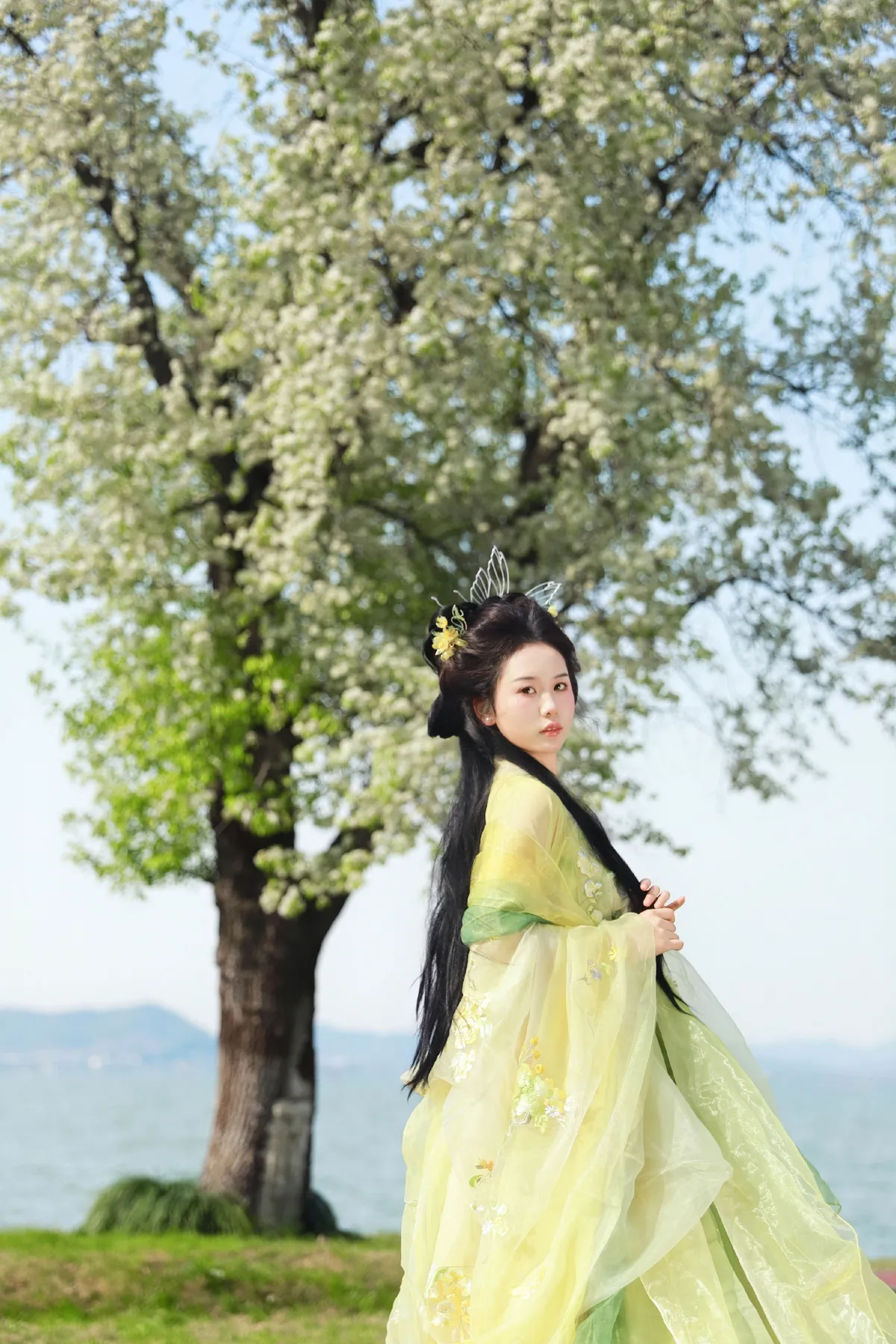 梨花开5
