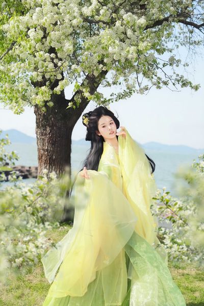 梨花开
