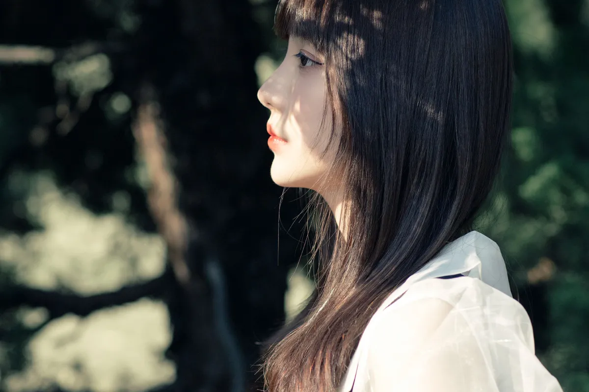 黑玫瑰2