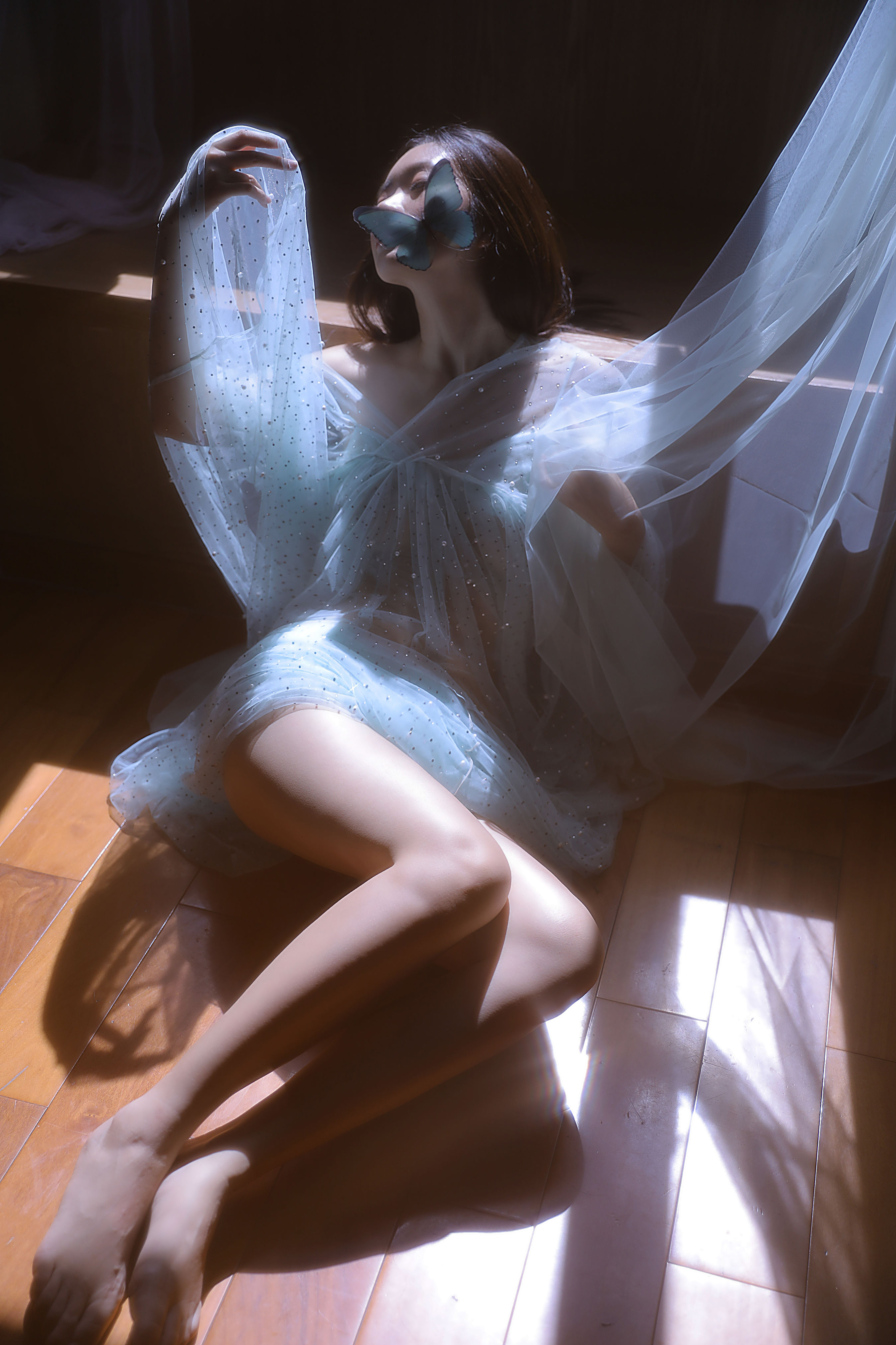 Butterfly1