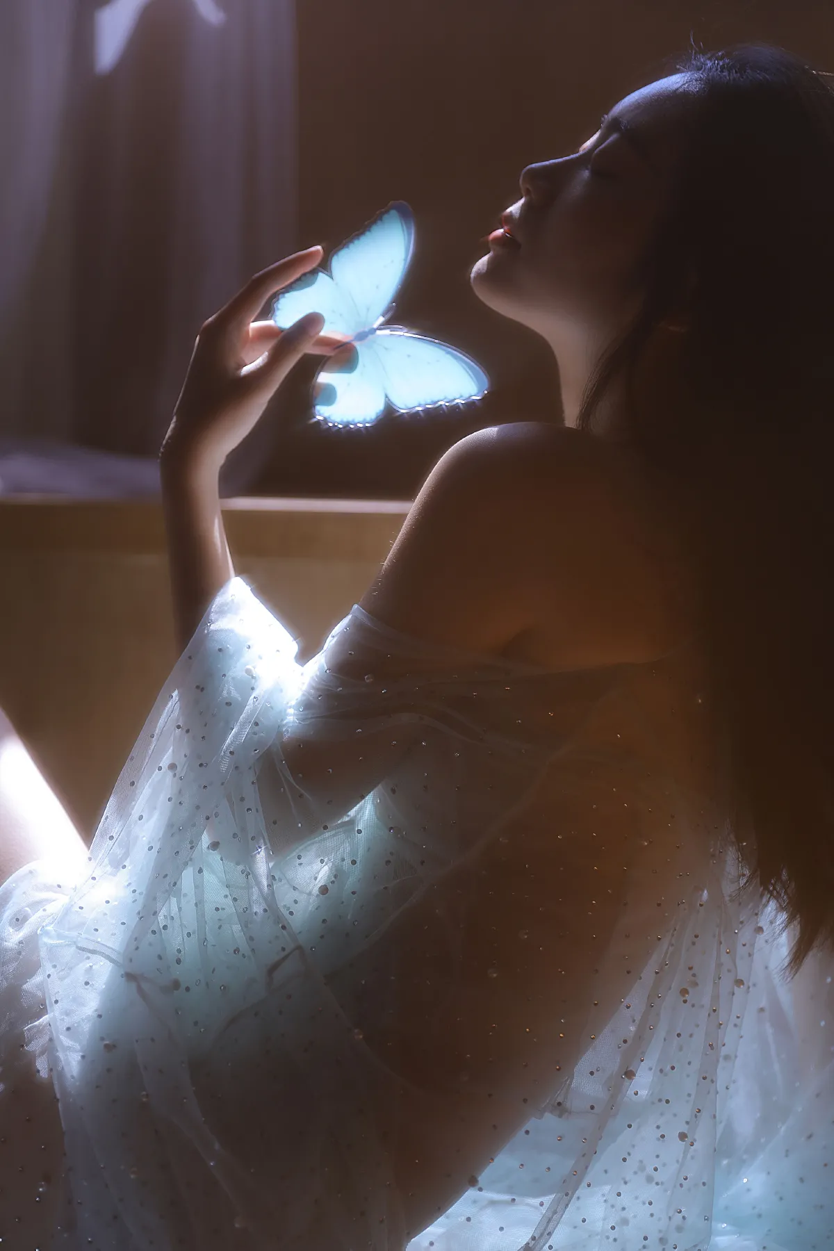 Butterfly2