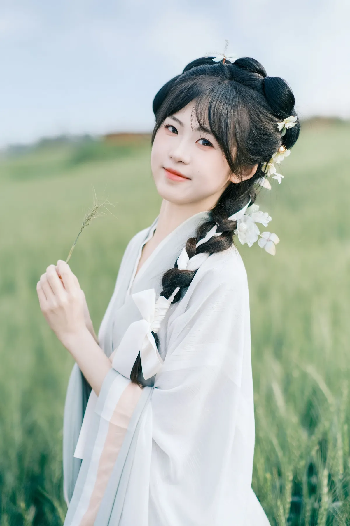 春天的麦田是一片绿色的海3