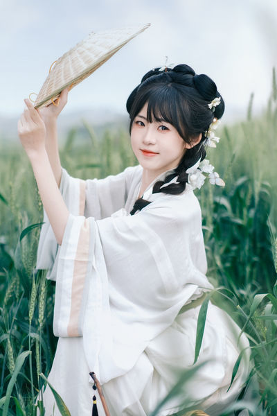 春天的麦田是一片绿色的海