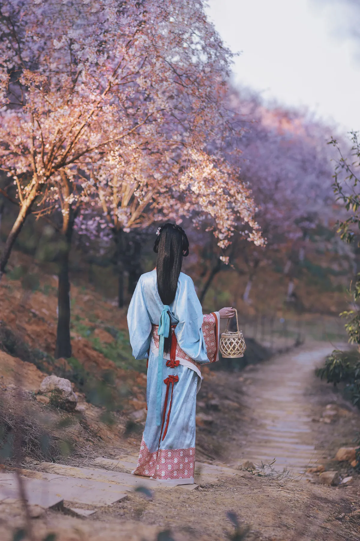 樱落