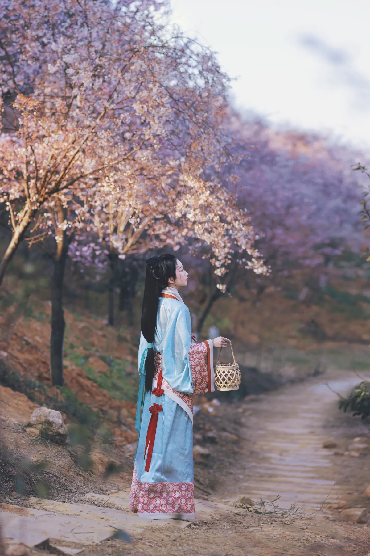 樱落