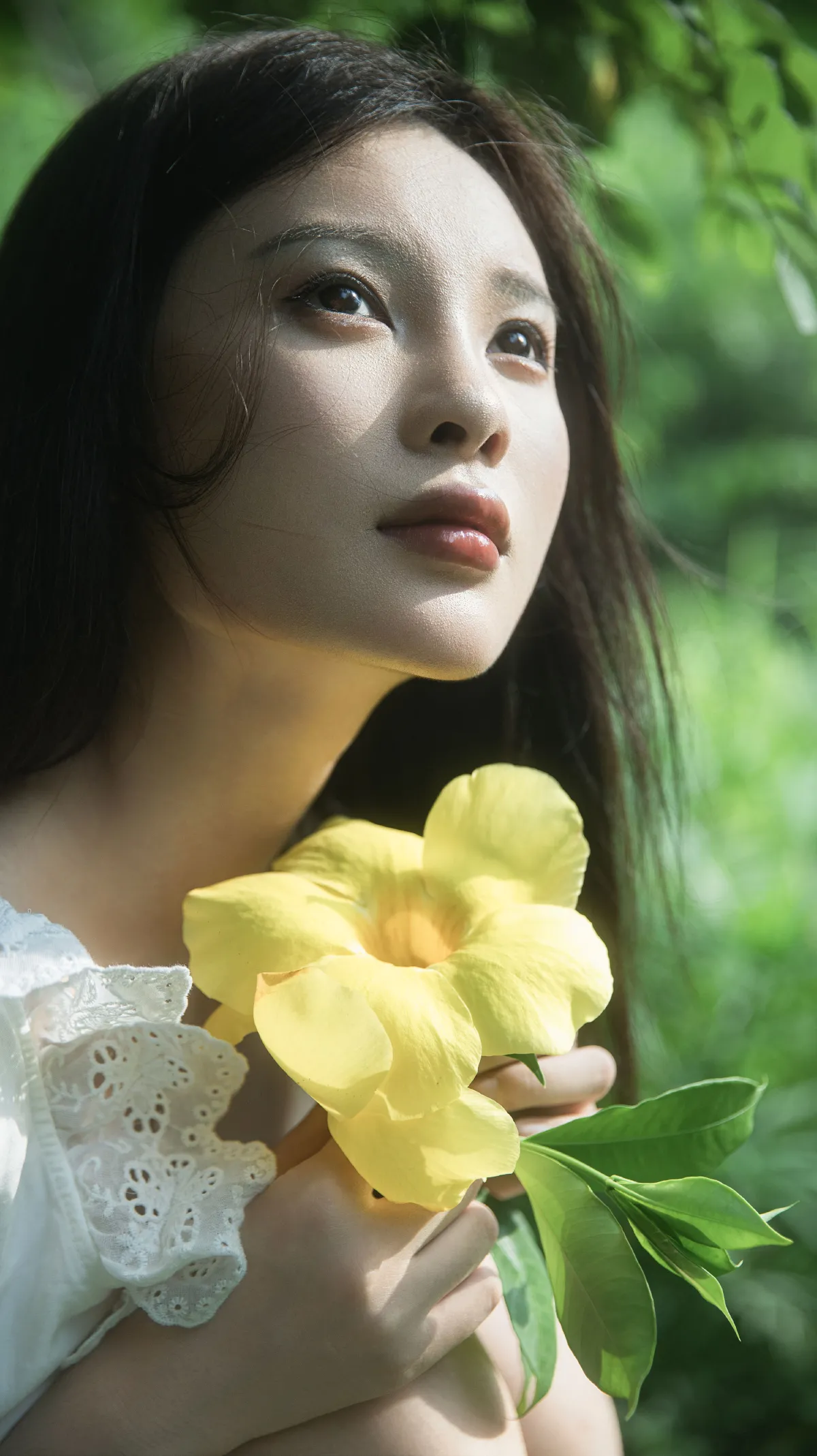 杜松混合茉莉的风2