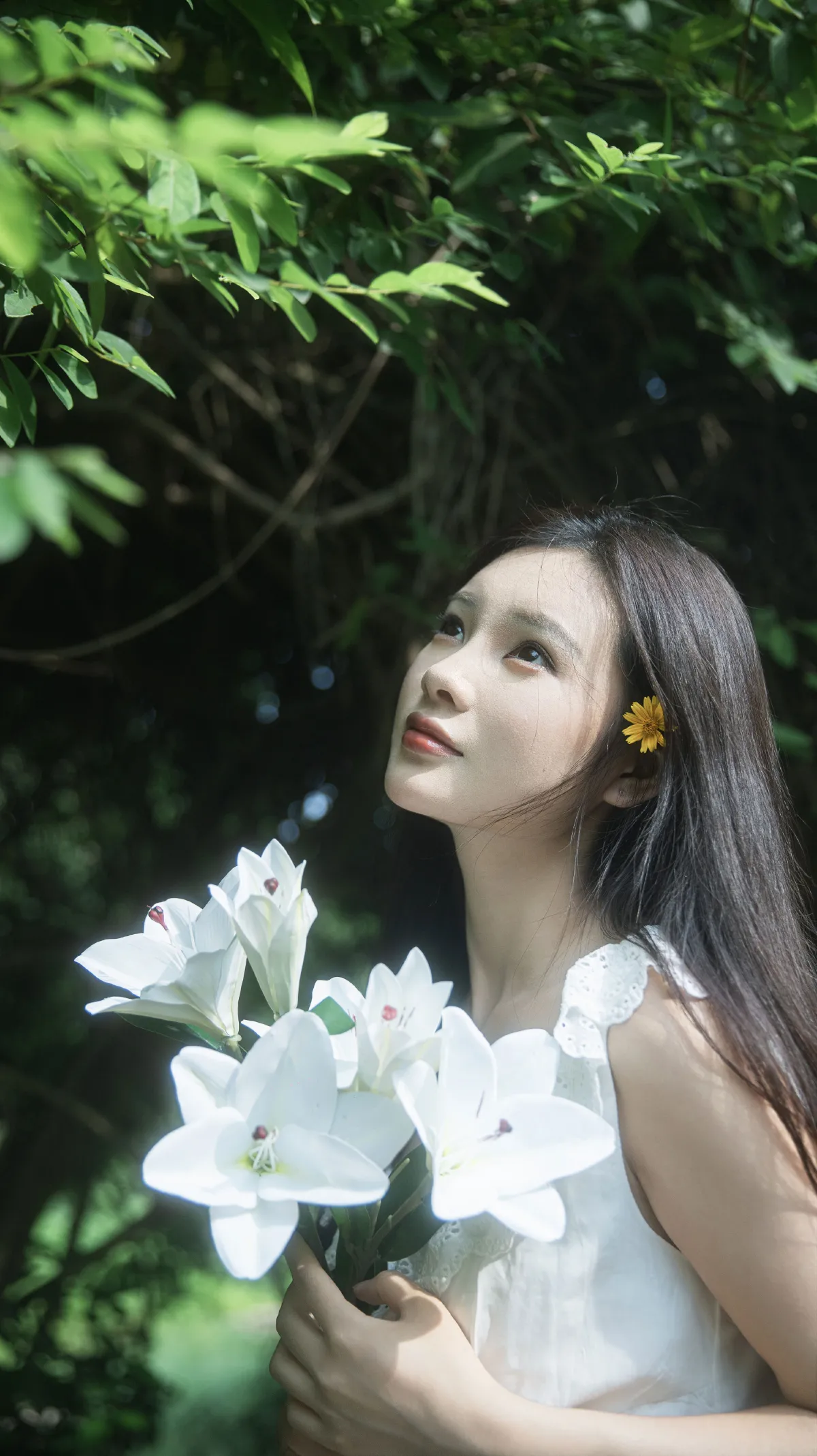 杜松混合茉莉的风