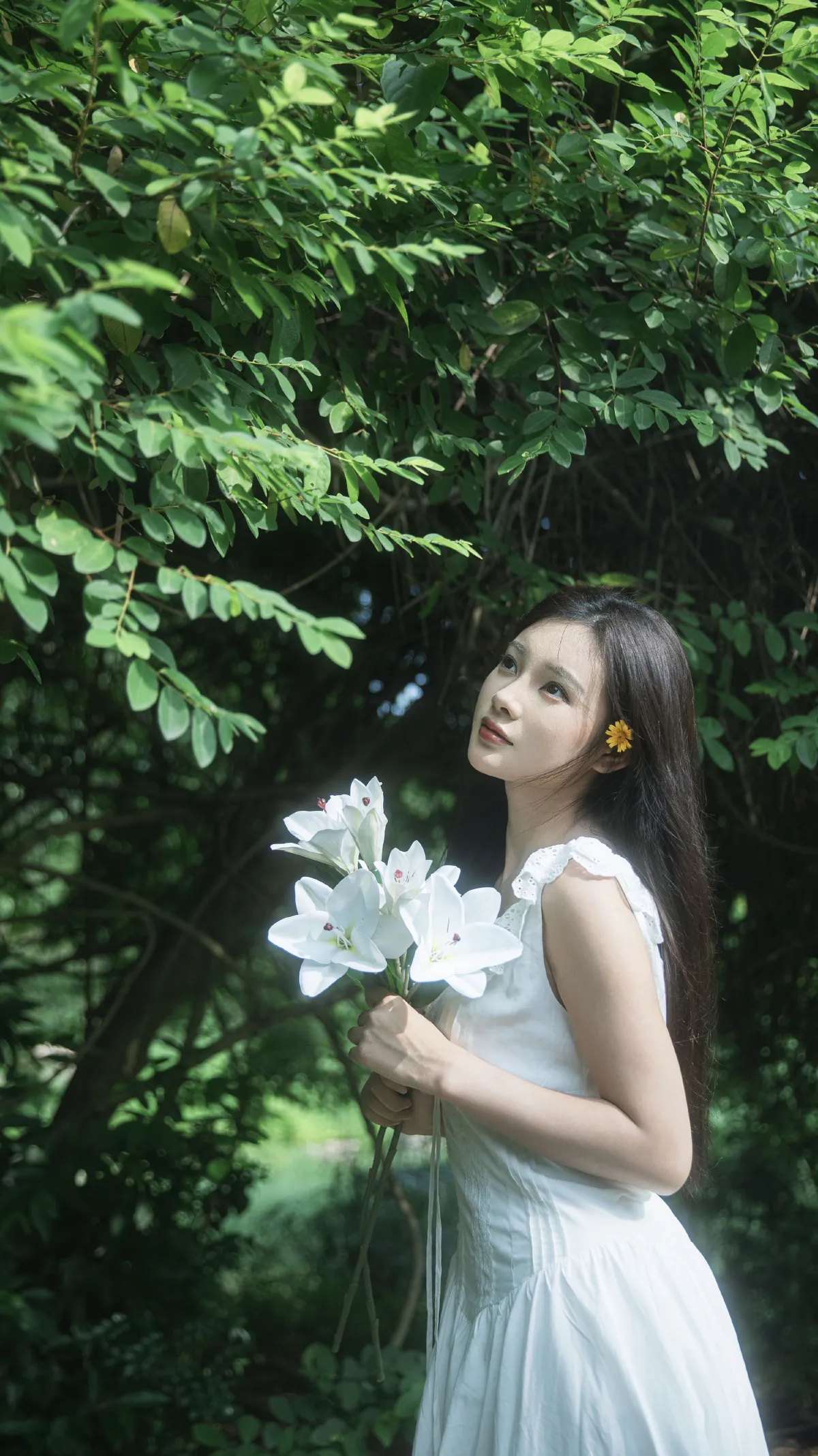 杜松混合茉莉的风5