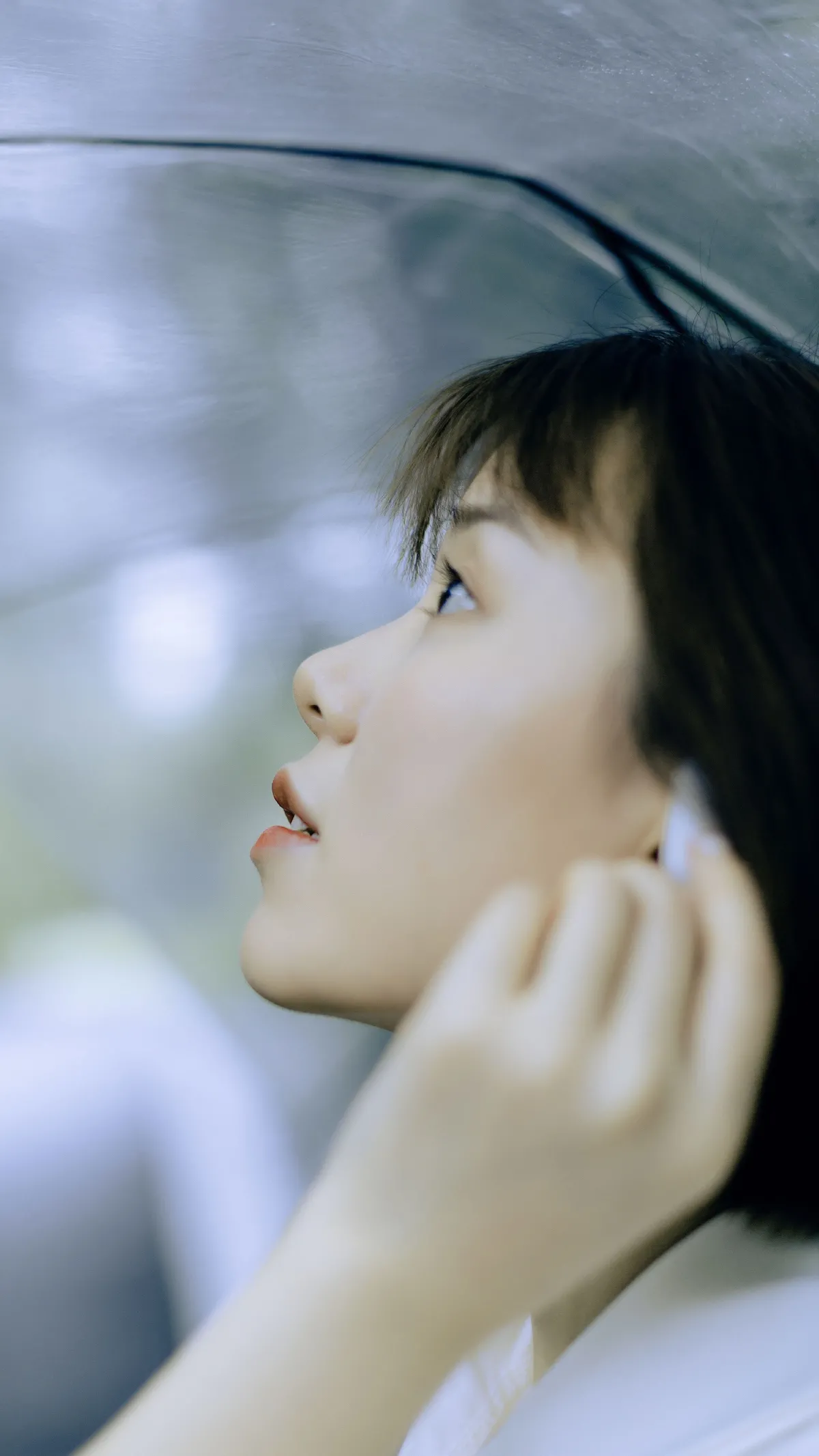 雨后3