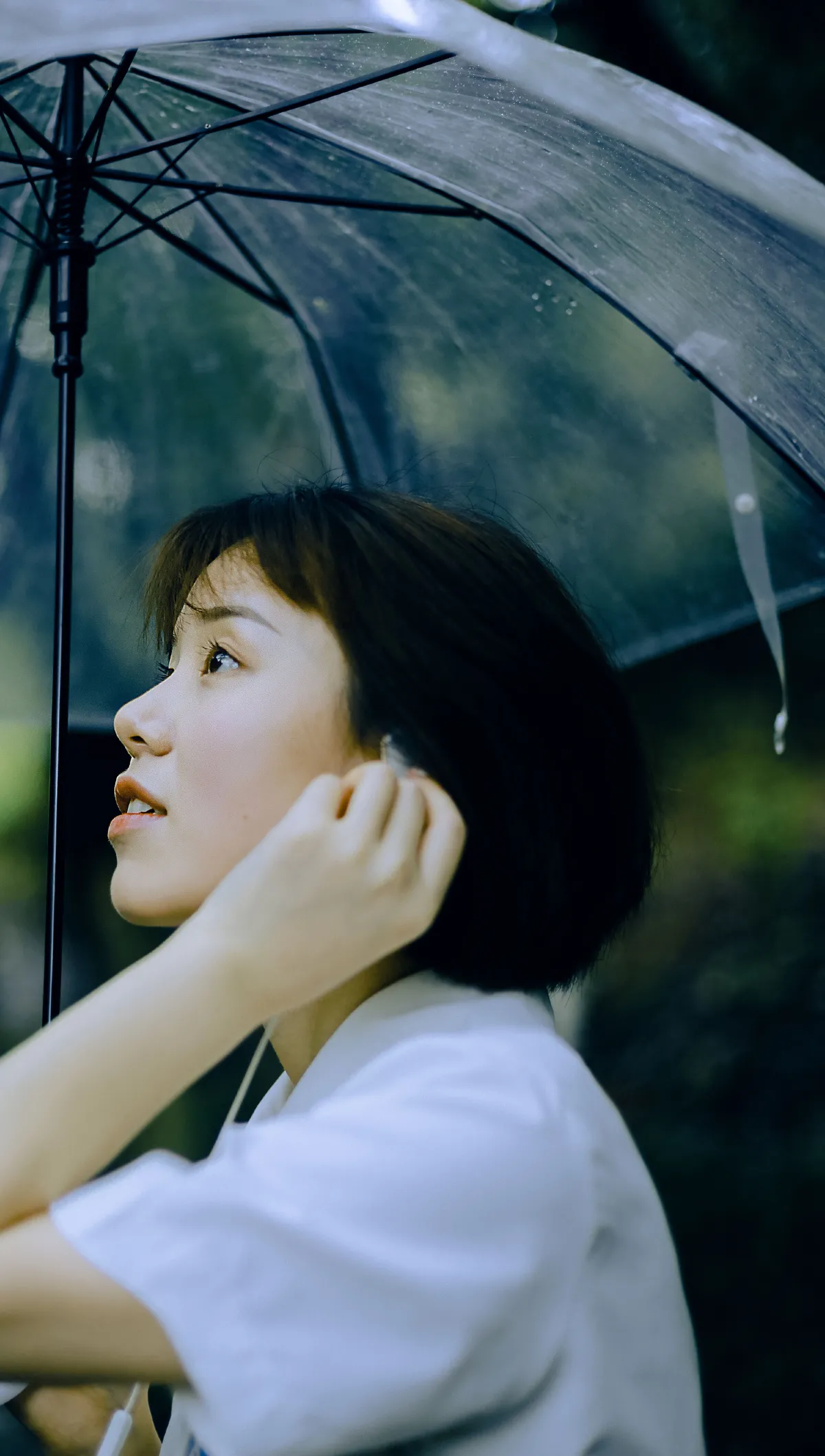雨后5