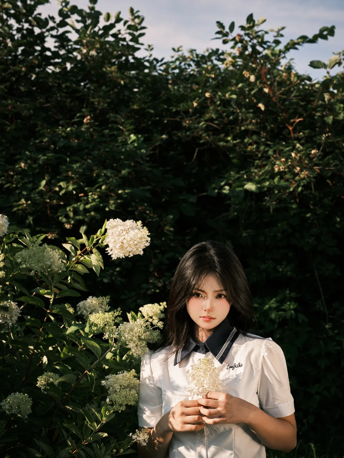 绣球花3