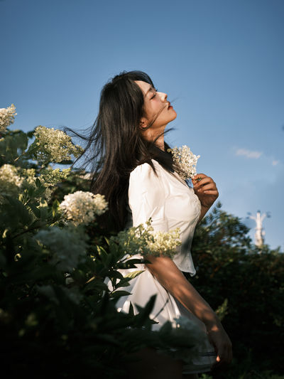 绣球花
