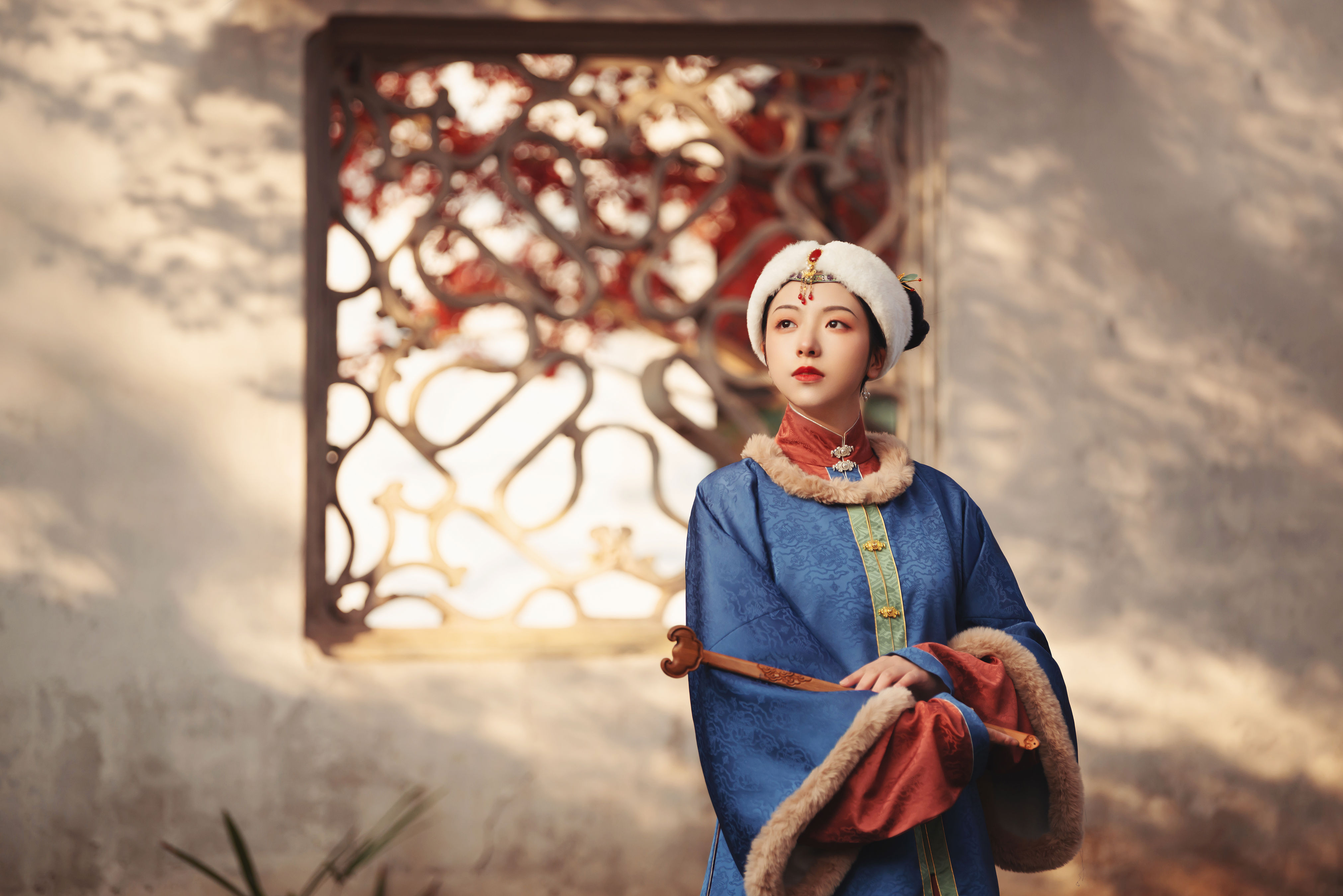 晚枫1