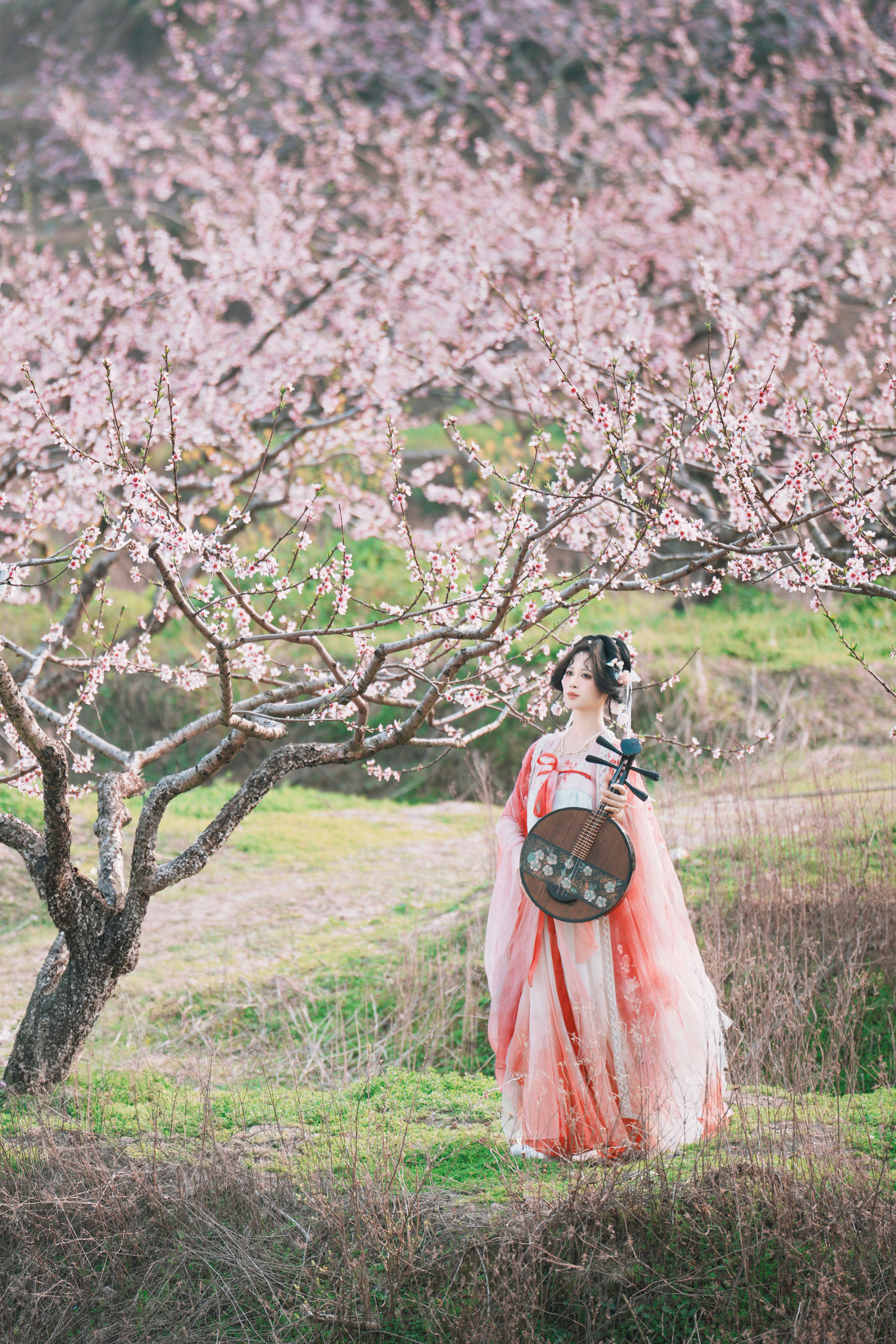 古风桃花人像1