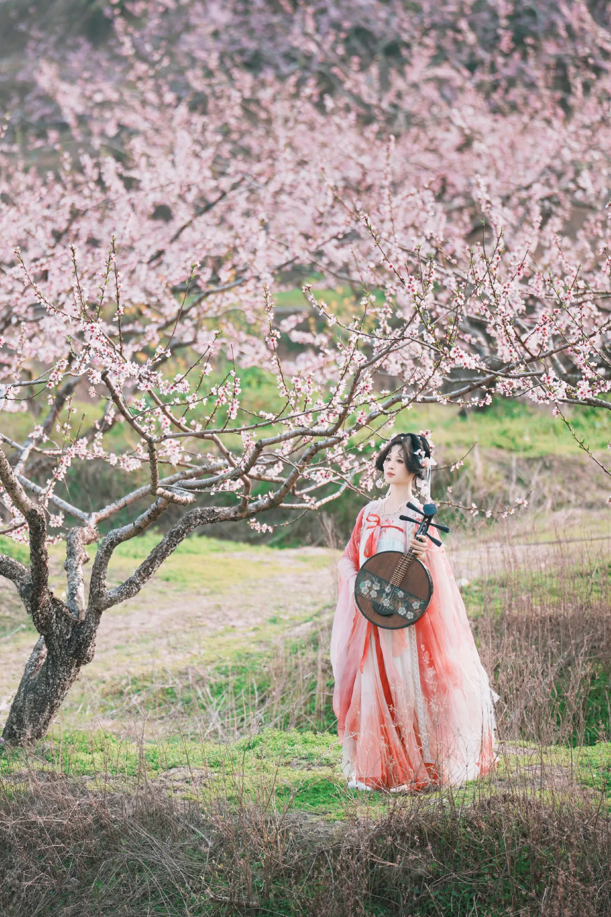 古风桃花人像1