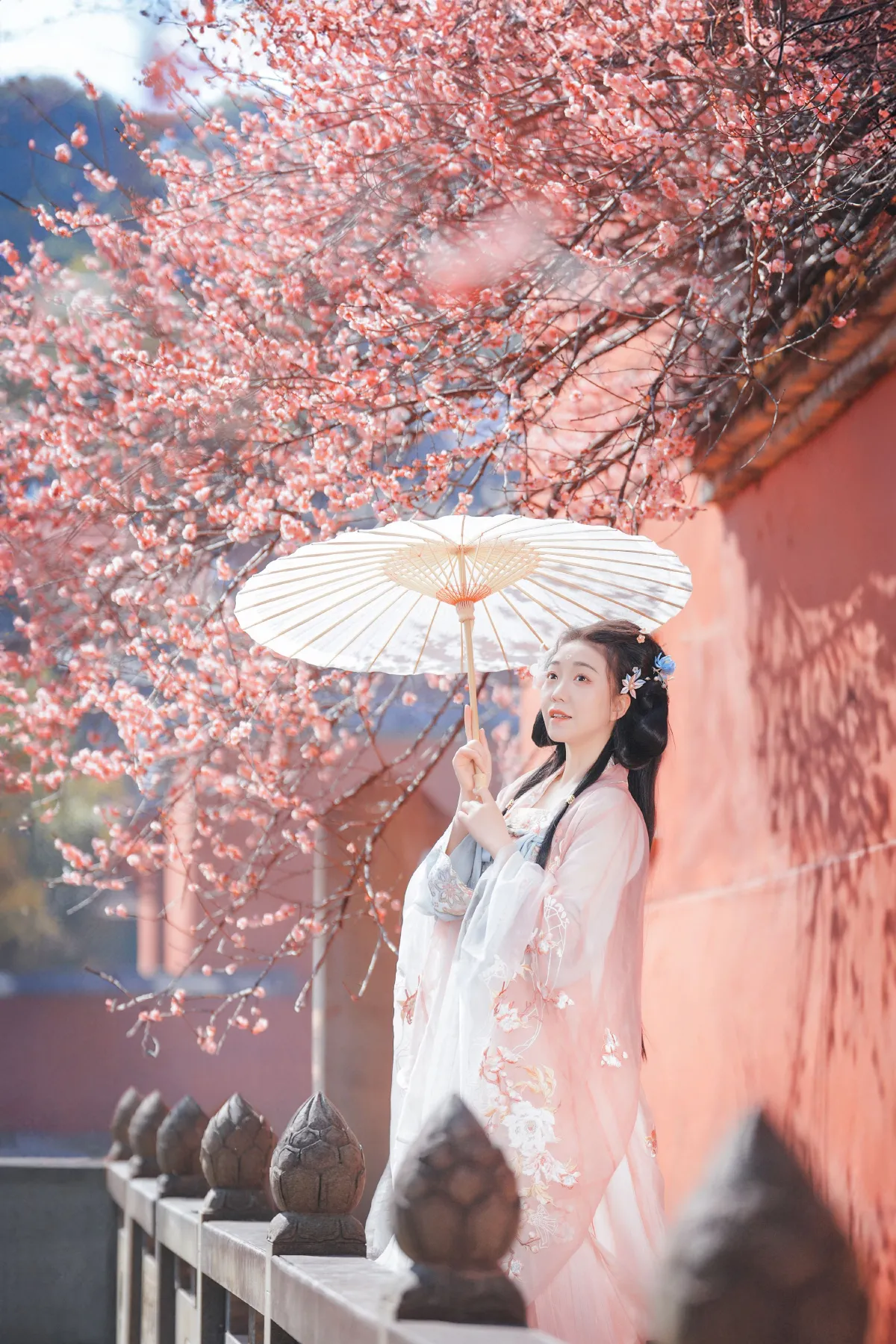 梅花古风人像拍摄