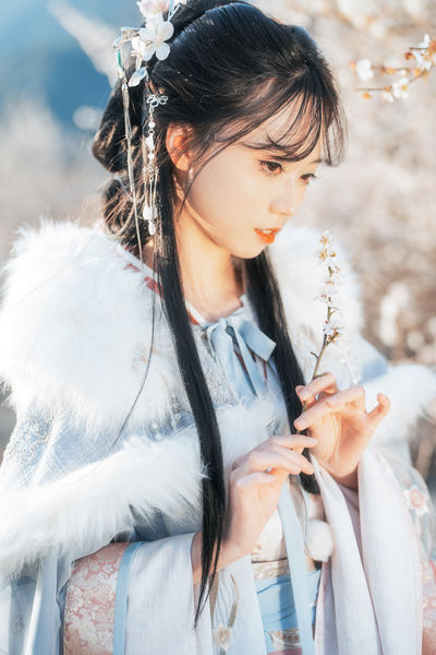 梅花古风人像拍摄
